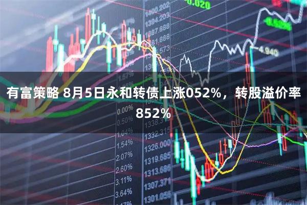 有富策略 8月5日永和转债上涨052%,转股溢价率852%