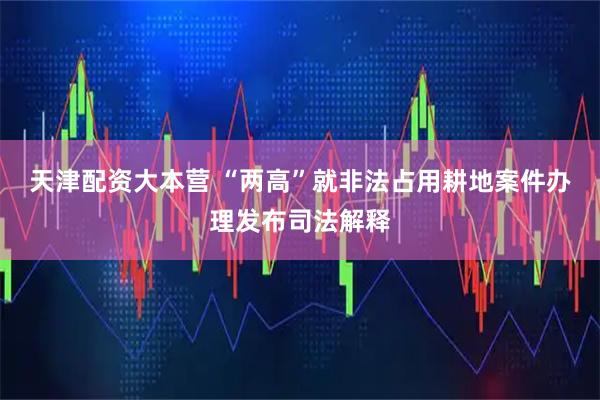 天津配资大本营 “两高”就非法占用耕地案件办理发布司法解释