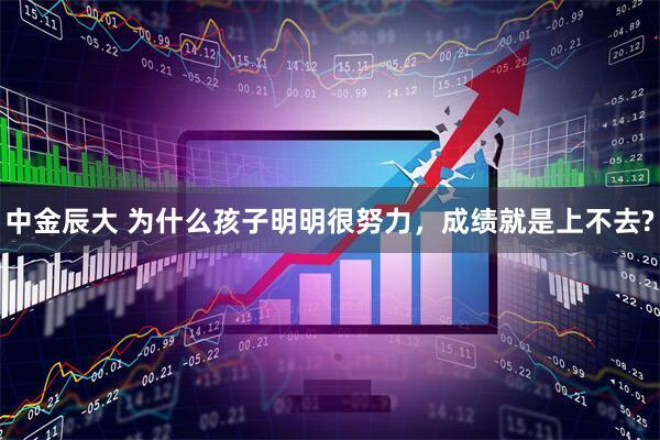 中金辰大 为什么孩子明明很努力，成绩就是上不去?