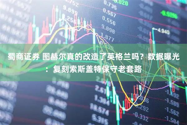 蜀商证券 图赫尔真的改造了英格兰吗？数据曝光：复刻索斯盖特保守老套路